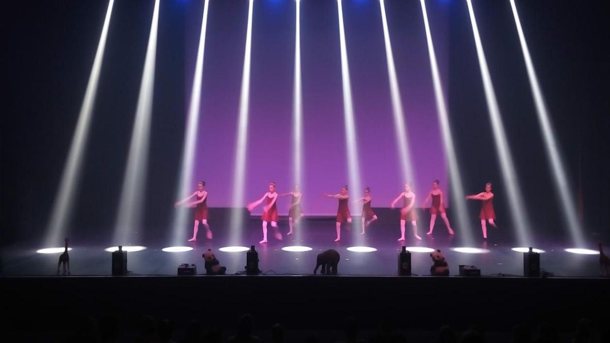 omega smoke systems, pro hazer co2, prosmoke 700,